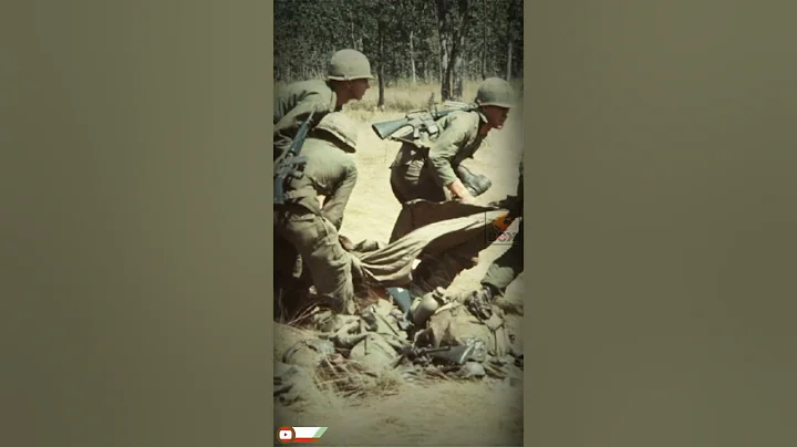 The War in Vietnam: A Story in Photographs ( Origi...
