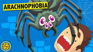 Why 99% Of Humans Are So Terrified Of Spiders