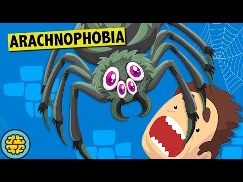 Video: Why Are We Afraid Of Spiders? - Alternative View