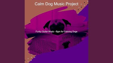 Vintage Backdrops for Relaxing Puppies