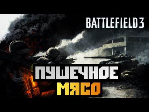 Видео: Battlefield 3 - [ПУШЕЧНОЕ МЯСО] BrainDit&AlexWorld - #9