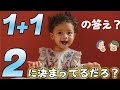 人は生まれつき算数ができる？赤ちゃんビビらす実験とは【数の発明1】#46