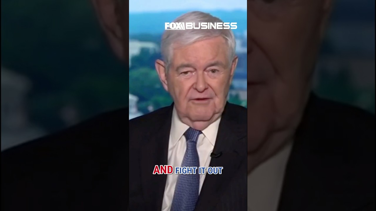 Gingrich: Here's how GOP will win a 'TRULY HISTORIC' election 