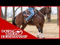 Clinton Anderson: How to Get Your Horse to Go Forward - Downunder Horsemanship