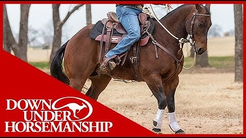 Clinton Anderson: How to Get Your Horse to Go Forward - Downunder Horsemanship