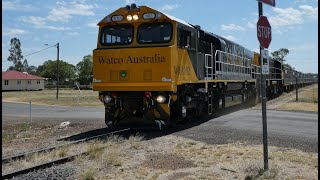 Watco Cattle Trains and The Westlander at Roma Queensland.