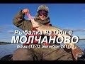 Рыбалка на Оби в Молчаново (ТО). 12-13 октября 2017г.