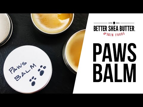 dog-paw-balm-|-diy-tutorial-to-help-your-dog