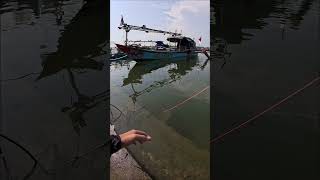Udang pintar kabur #secrettechnique #skills #tutorial #fyp