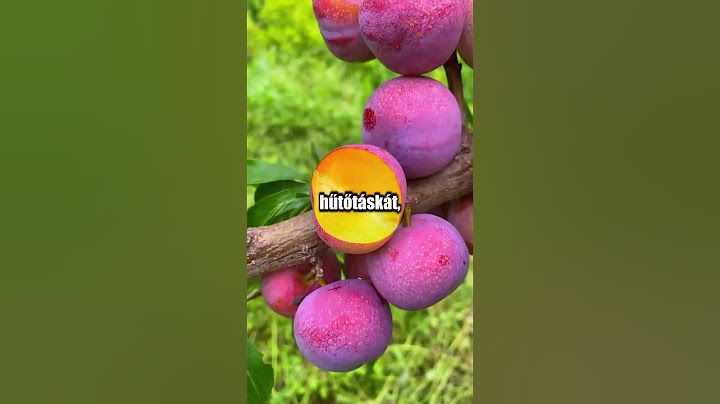 Anyám Azt Hitte Zseniális Üzletet Köt Egy Híres Séffel, De Csak Egy Sima Bolti Átverés Áldozata Lett