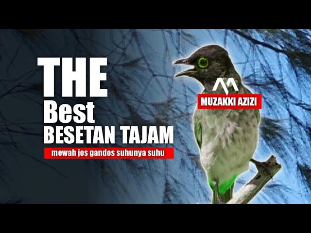 BEST KASARAN‼️MASTERAN THE BEST BESETAN TAJAM MEWAH POWER MARKOTOP || MASTERAN KASARAN BURUNG LOMBA class=