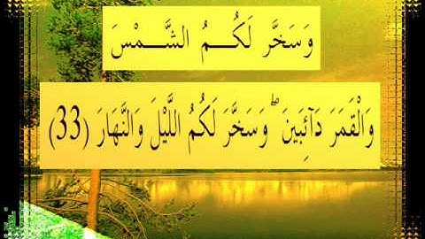 القرآن الكريم سورة إبراهيم الأية 33 قراءة السديس