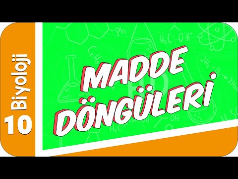 10. Sınıf Biyoloji: Madde Döngüleri #2022