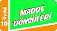 Madde Döngülerinin Yaşam İçin Önemi ile ilgili video