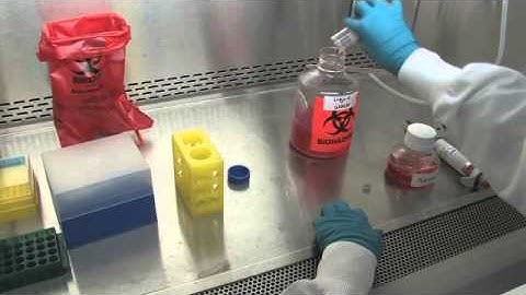 Thawing and Plating Cryopreserved Hepatocytes -- Video Demonstration