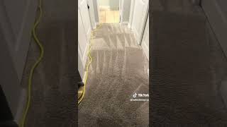 #carpetcleaning #crb https://sofashinepros.com was