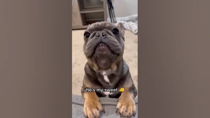 He's my... #funny #lol #lmao #lmfao #hilarious #laugh #laughing #tweegram #fun #friends