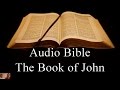 The book of john  niv audio holy bible  high quality and best speed  book 43