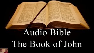 The Book of John - NIV Audio Holy Bible - High Quality and Best Speed - Book 43 screenshot 5