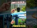 powerful mechanical filter! #aquarium#filter#pets#fish#shorts
