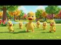 Cinco Patitos y su Rima de Aventura Urbana 🦆Canciones Infantiles y Rimas para Niños y Bebés Aprender