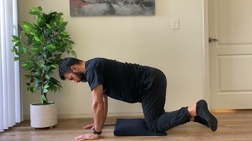 Quadruped Hip Internal & External Rotation