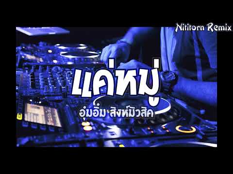แค่หมู่ - อุ๋มอิ๋ม สิงห์มิวสิค แดนซ์รีมิกซ์｜Nititorn REMIX