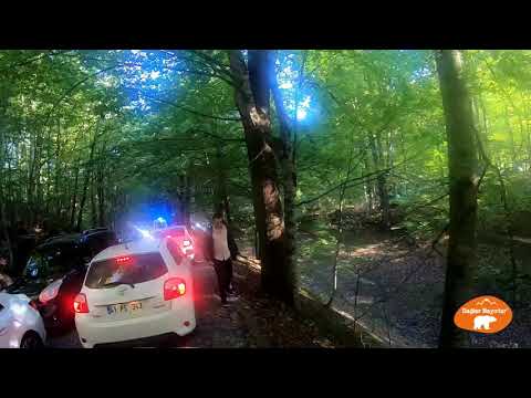 yedigöller milli parkı
