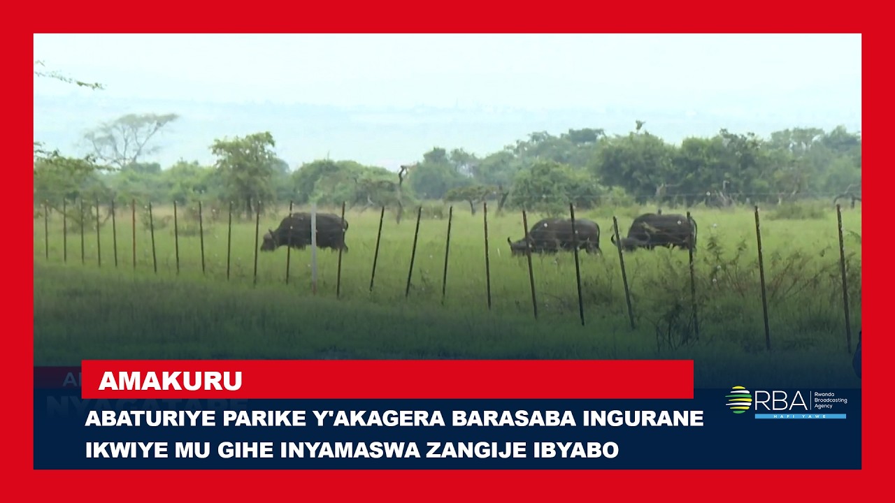 Abaturiye Parike y'Akagera barasaba ingurane ikwiye mu gihe inyamaswa zangije ibyabo
