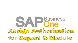 SAP Business One Assign Authorization for Report &amp; Module