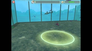 Temporary model variants