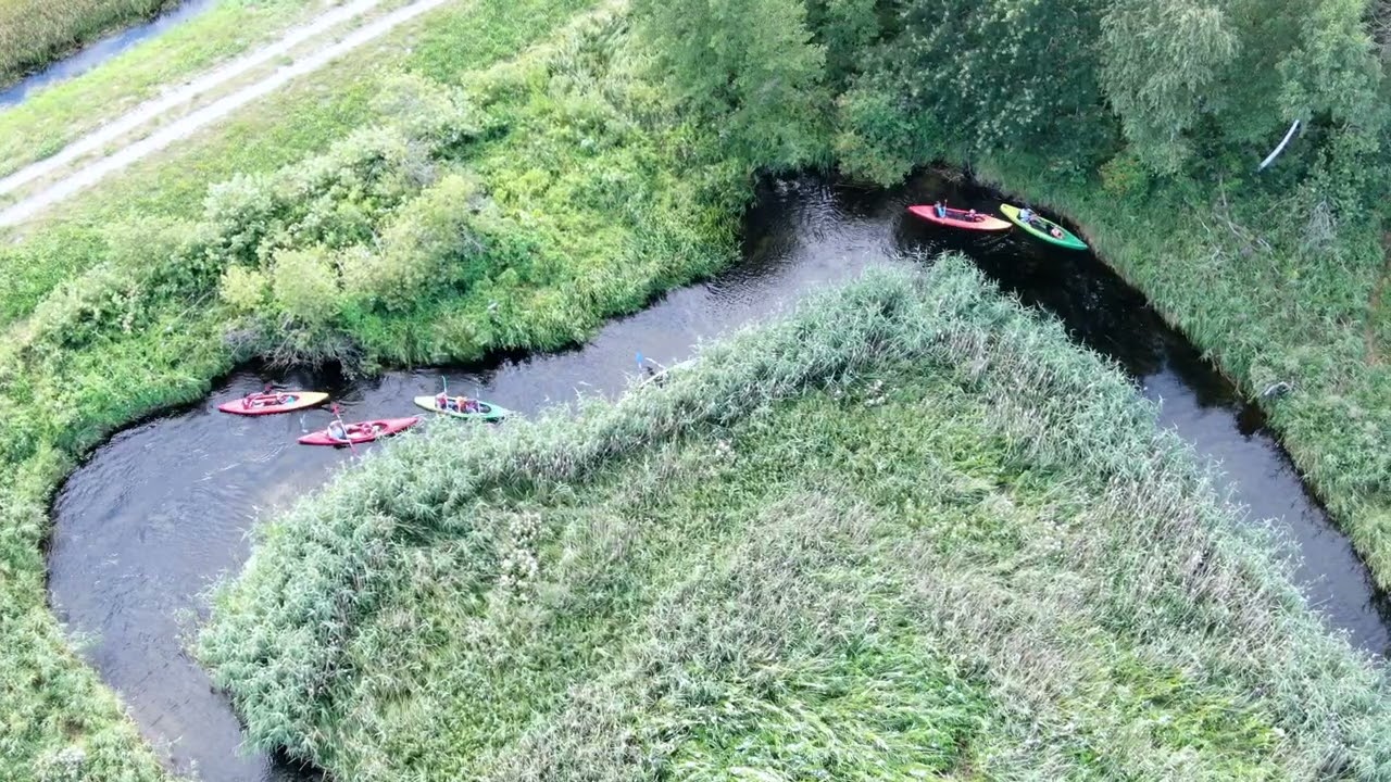 Spływy kajakowe Piaśnicą.