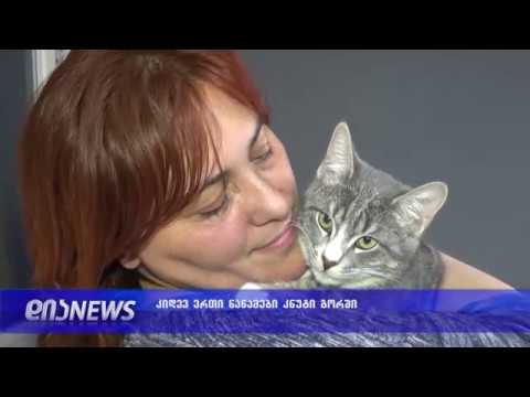 ცხოველის წამების მორიგი ფაქტი გორში-უფლებადამცველები რეგულაციების ამოქმედებას ითხოვენ20.02.2019