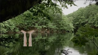 うんこ県しっこ市ぽこちん町114‐514もきち沼