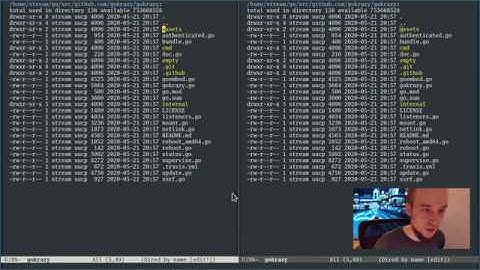 First Go coding stream: gokrazy.org busybox on serial console by default #golang #emacs #linux