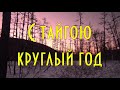 C тайгою круглый год. 2020. От января до декабря With taiga all year round. 2020 January to December