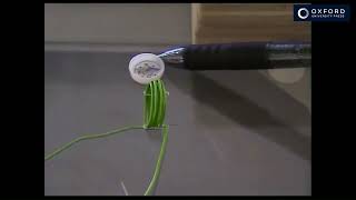 Book 4 Expt 5b - Magnetic field patterns of electric currents