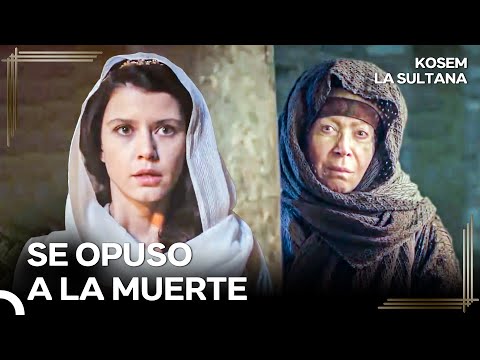 Kösem Pidió Ayuda A un Bruja Para Que Ahmed Se Recuperara | Kosem La Sultana