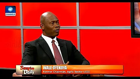 Food Security: Nigerian Farmers Are Doing Business In Hardship, Expert Reveals |Sunrise Daily|