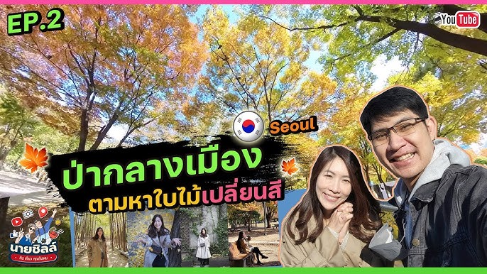 วางแผนเที่ยวเกาหลี 🇰🇷 ดูจบไปได้แน่นอน | ตามหาใบไม้เปลี่ยนสี | เที่ยวโซล  Seoul EP.1/5 - YouTube