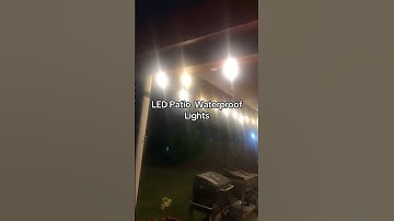 Yuncheng String Light Buy in Bulk | Save Big on Quality Lighting