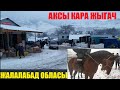 ЖӨНДҮҮ БААЛАР АКСЫ КАРА ЖЫГАЧ БАЗАРЫ БҮГҮНКҮ КҮНДӨ 19/12/2019