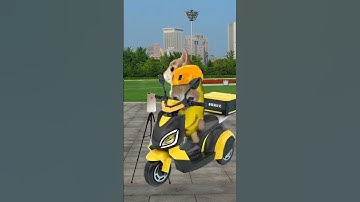 El gato went on a grocery with banana cat🛒😽 #roblox #elgato #bananacat #brookhaven #cats