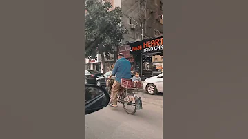الدار امان مصر 