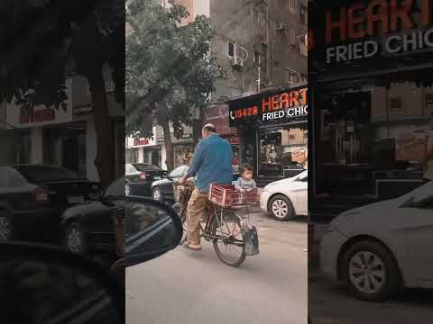 الدار امان مصر