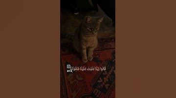 ألم تكن آياتي تتلى عليكم فكنتم بها تكذبون  ،، القارئ اسلا صبحي
