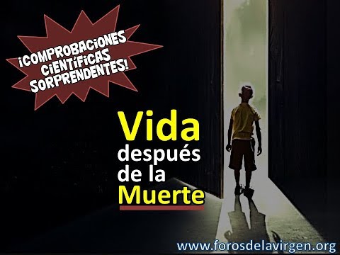 Vídeo: Se Encontraron Pruebas De Vida Después De La Muerte - Vista Alternativa