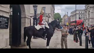 Medical emergency dismount carried out on the left side of the court yard horse's backed into box