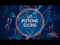 Genetics in 60 seconds introns and exons