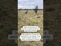діти зараз і ми тоді як світ змінився